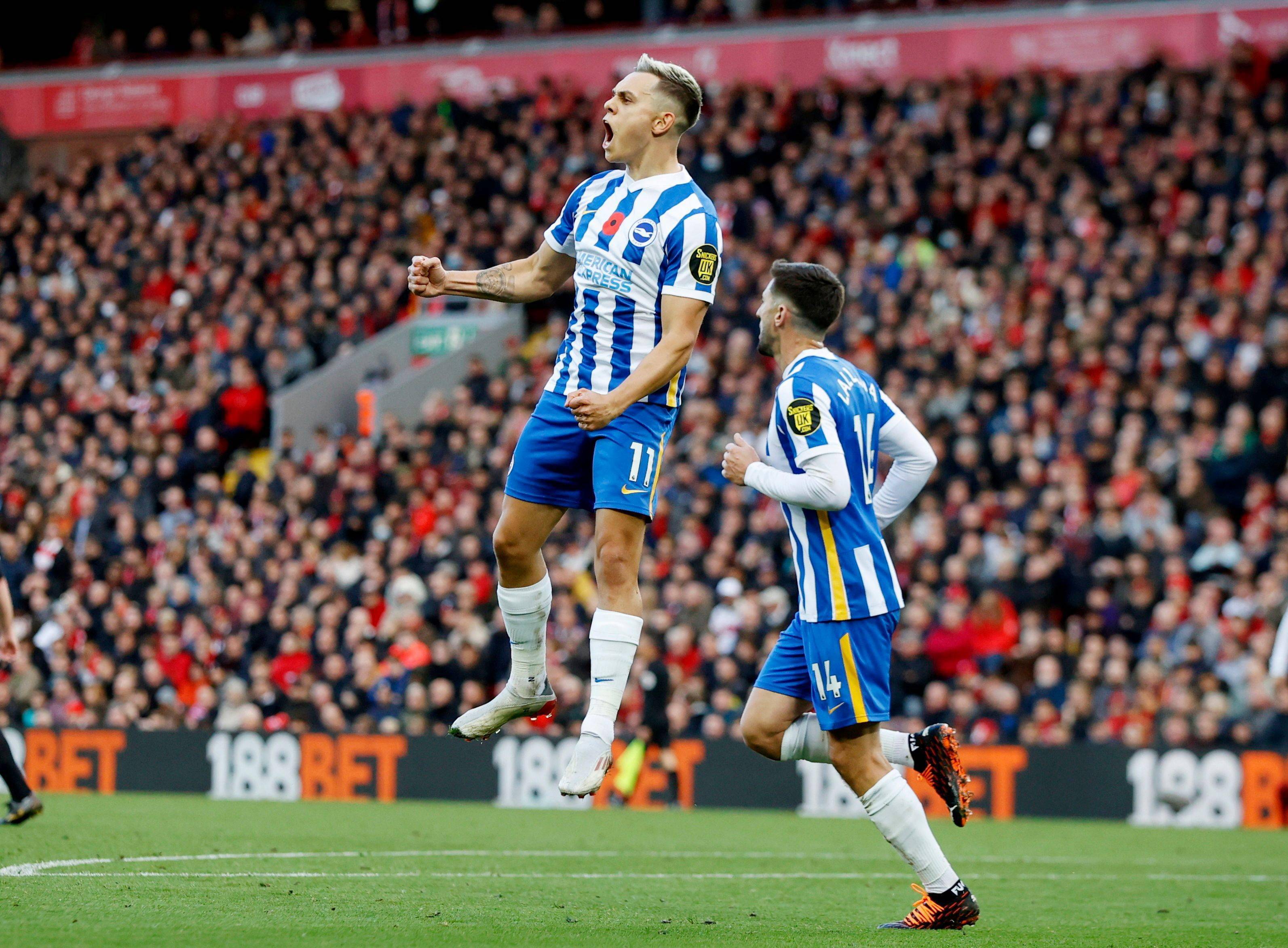 适应比赛的 适应比赛的