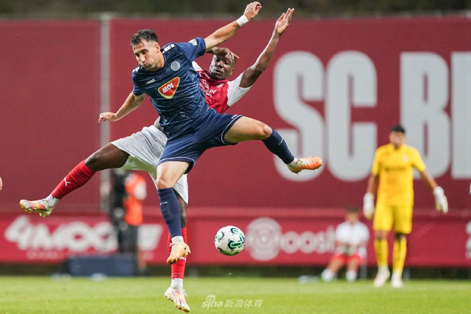 的背景下 的背景下